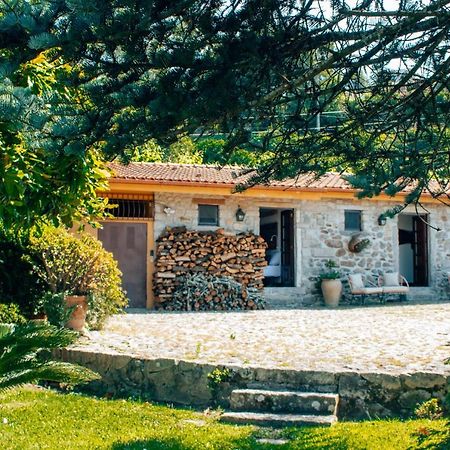 The Quixote House Bed & Breakfast Caminha Bagian luar foto