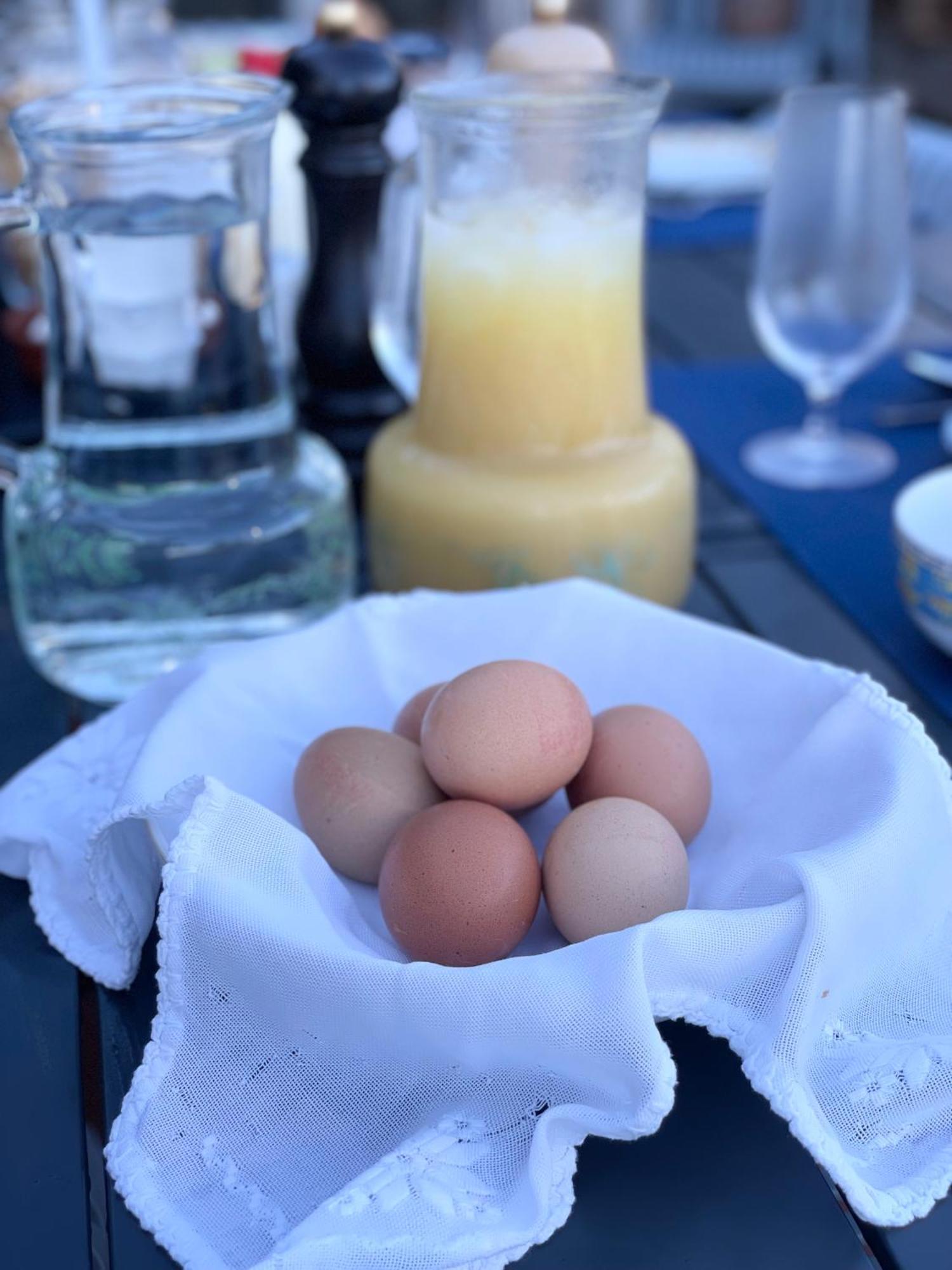 The Quixote House Bed & Breakfast Caminha Bagian luar foto